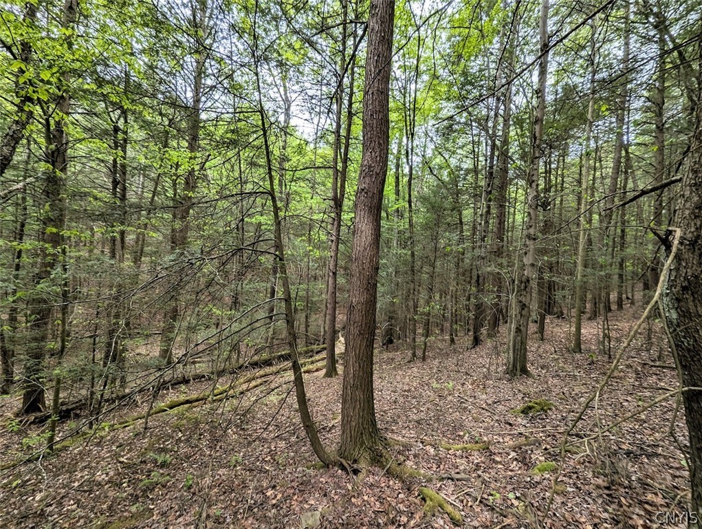 Stewart Road Addison, NY 14801 - Photo 20 of 29