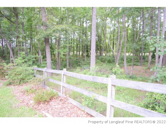 208 Holt Road Sanford, NC 27330 - Photo 4 of 12 Gallery Image 4