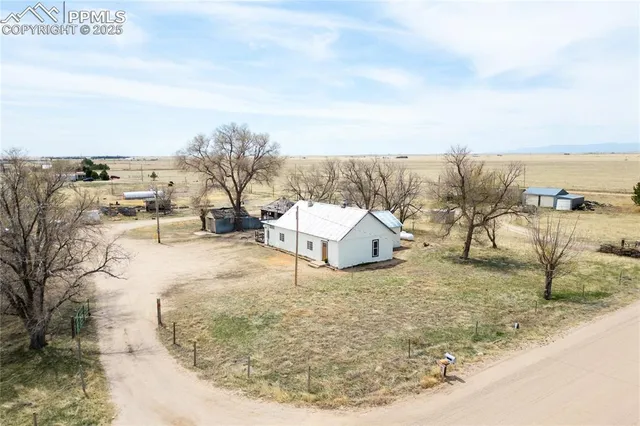 a view of a dry yard with trees