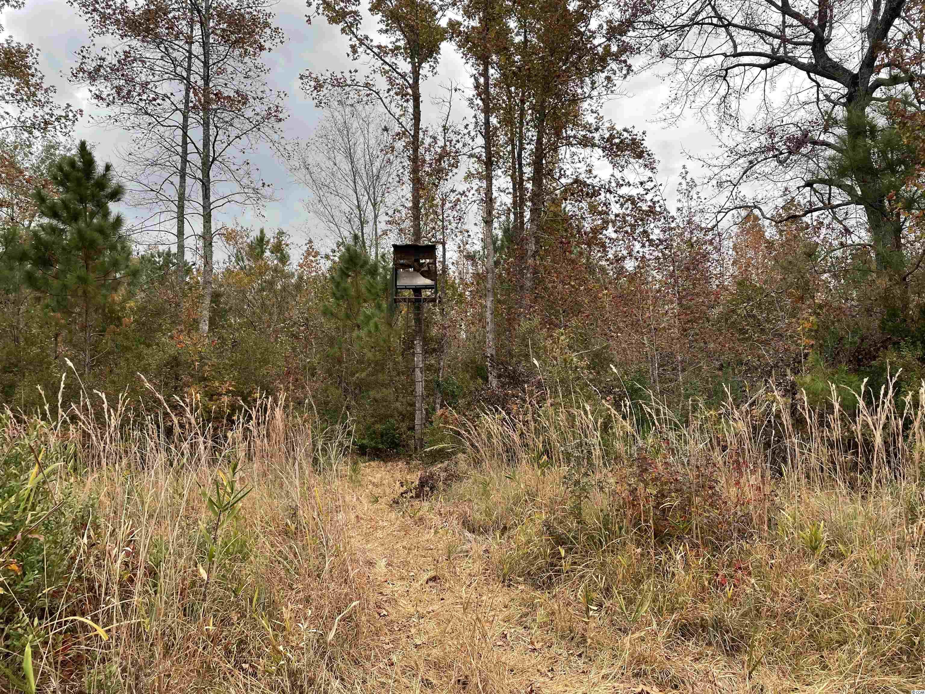 Tbt Tbt Steadfast Road Andrews, SC 29510 - Photo 1 of 6