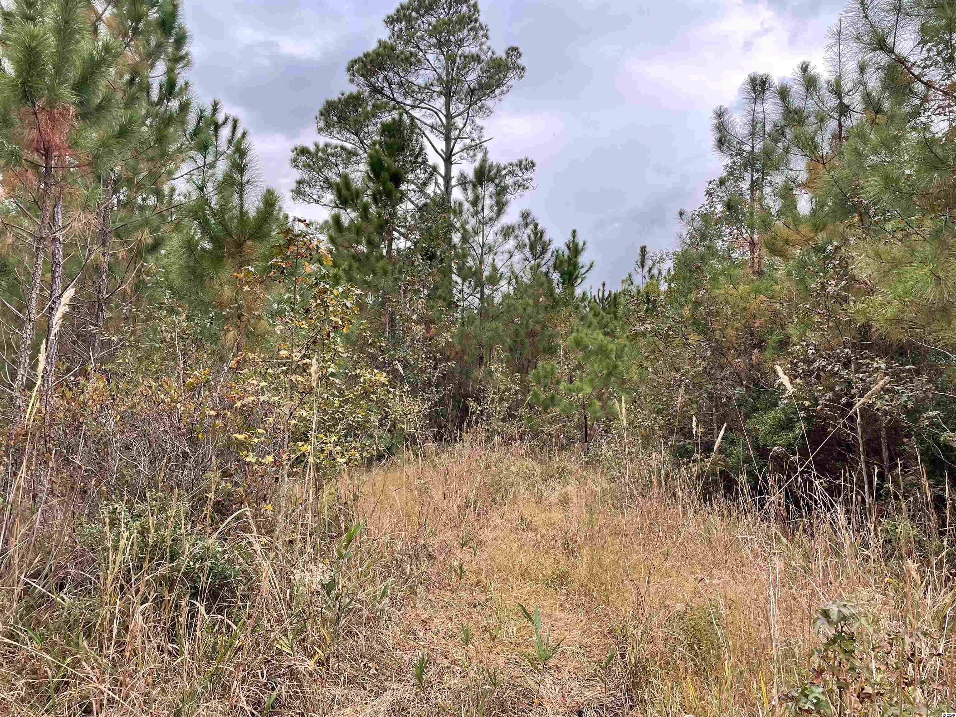 Tbt Tbt Steadfast Road Andrews, SC 29510 - Photo 5 of 6