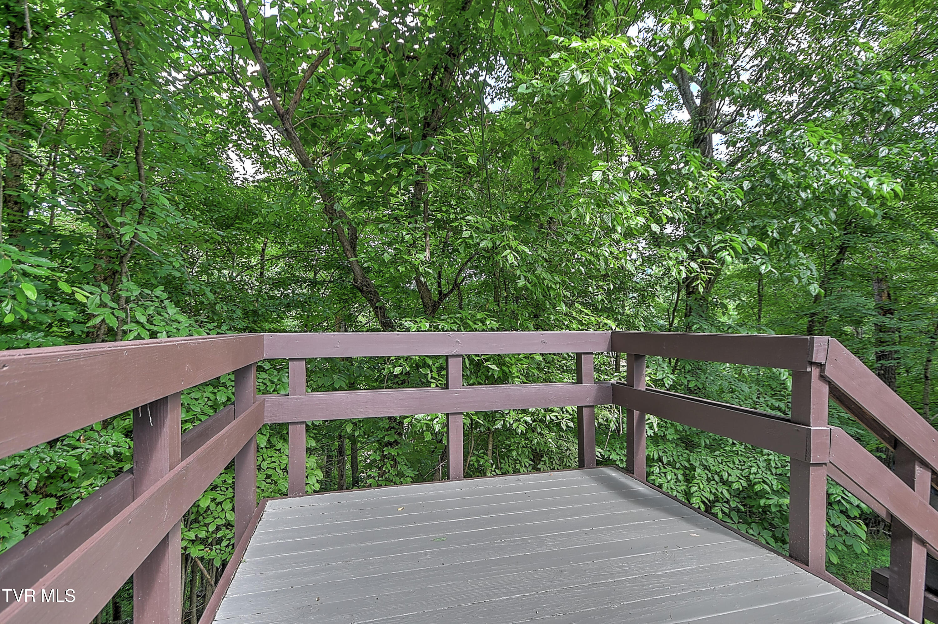 45 Grove Hill Road, Unit 45 Kingsport, TN 37660 - Photo 62 of 73 45 Grove Hill ES-63