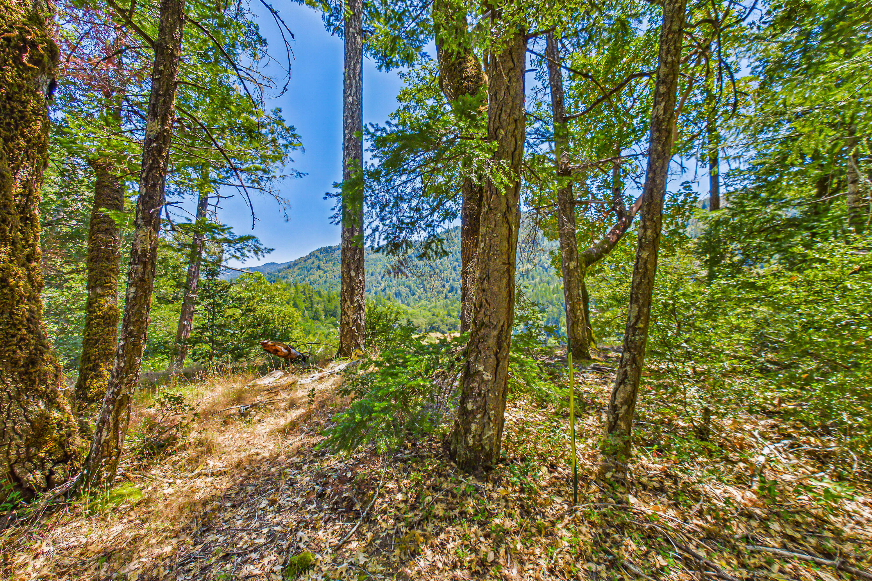 0 Tooby Ranch Road Garberville, CA 95542 - Photo 16 of 81