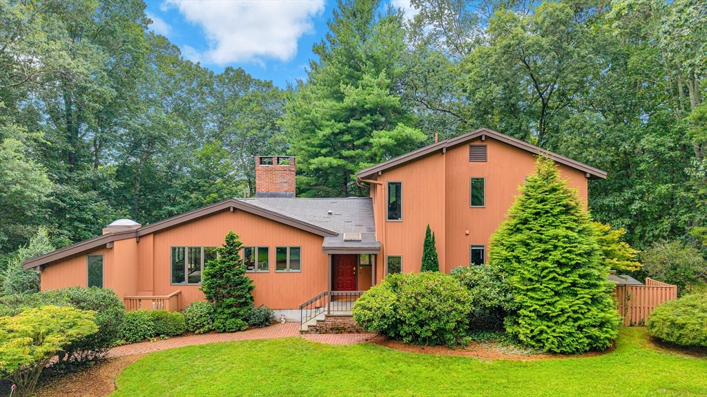 a view of a yard in front of a house with plants and large trees