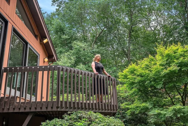 a view of a garden with pathway