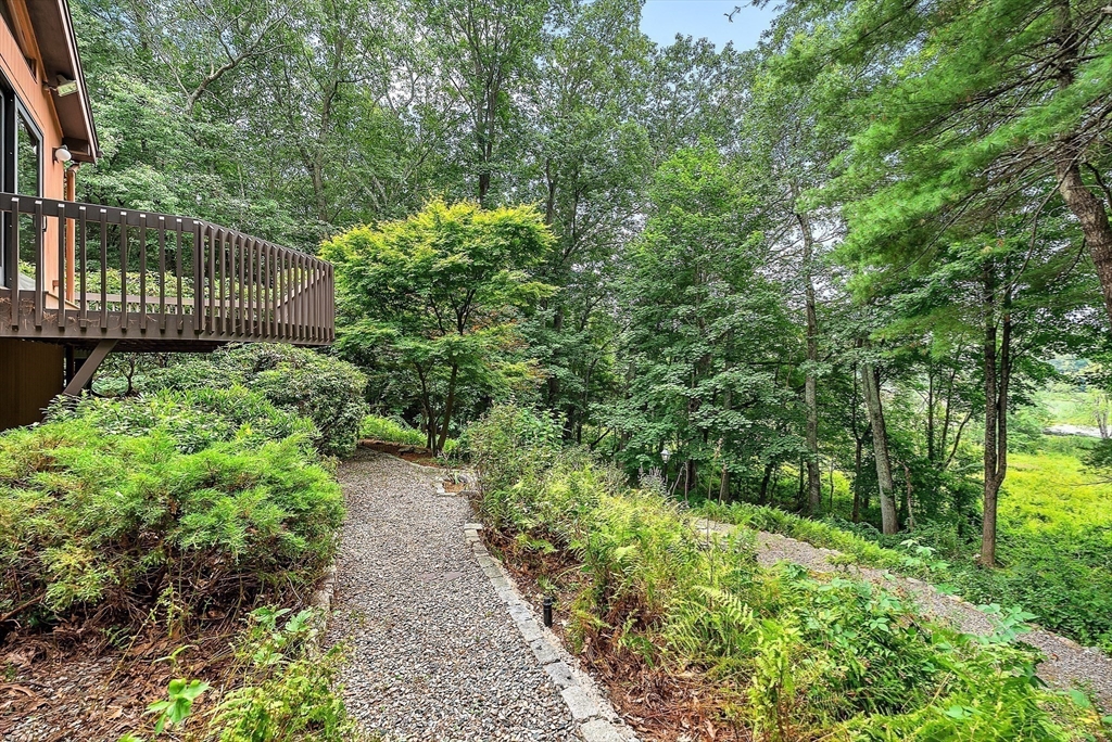 57 South Street Natick, MA 01760 - Photo 31 of 36 a view of a garden with pathway