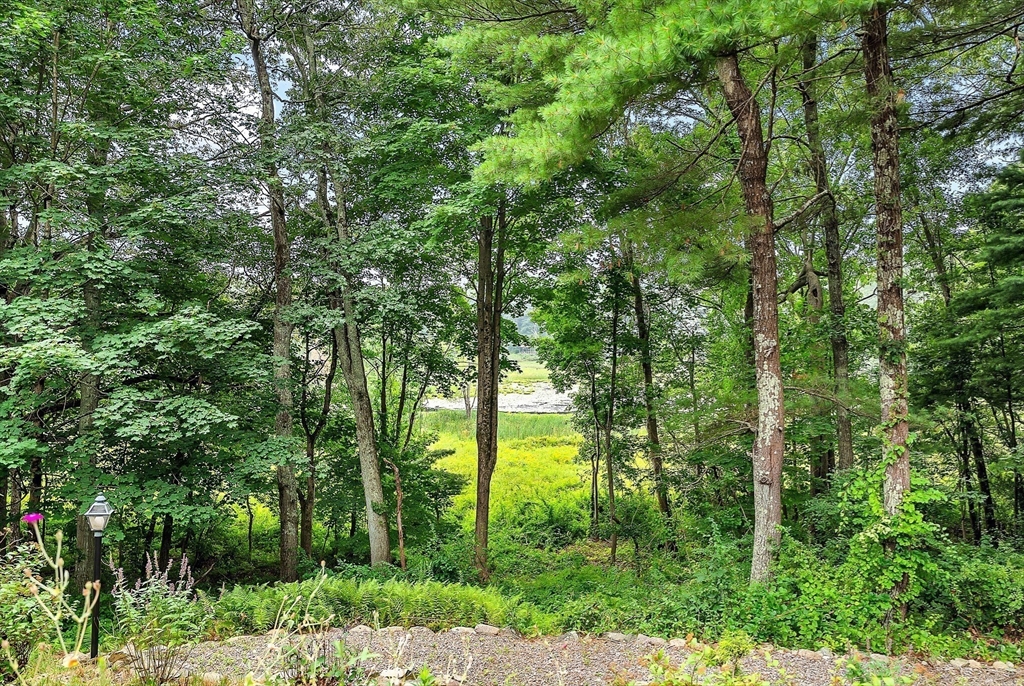 57 South Street Natick, MA 01760 - Photo 32 of 36 a view of forest