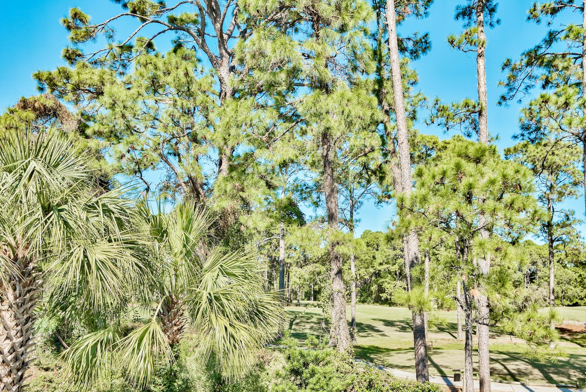 146 Masters Court Santa Rosa Beach, FL 32459 - Photo 25 of 44 Gallery Image 25