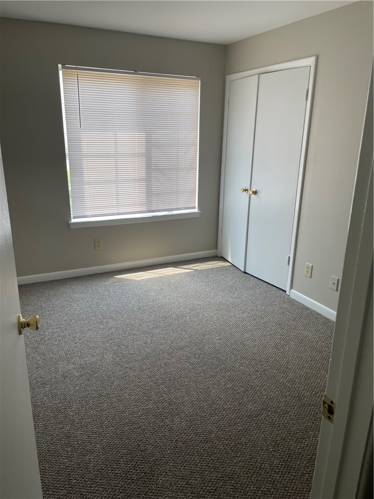 220 Elm Street, Unit 503 Clemson, SC 29631 - Photo 6 of 12
