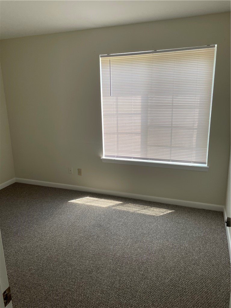 220 Elm Street, Unit 503 Clemson, SC 29631 - Photo 7 of 12