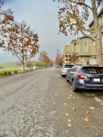 a view of a golf course with a garden