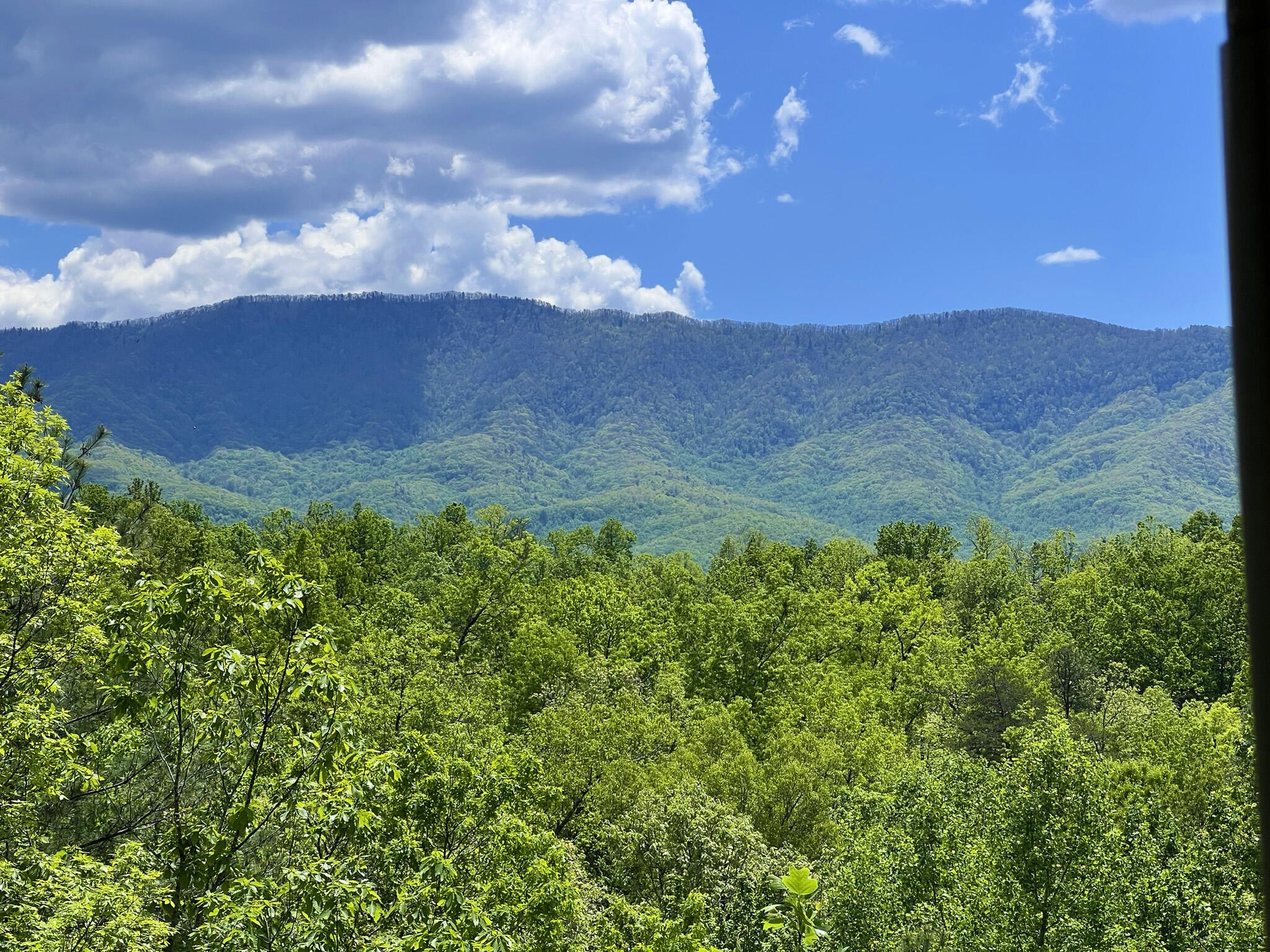618 Big Bear Ridge Road Gatlinburg, TN 37738 - Photo 8 of 58