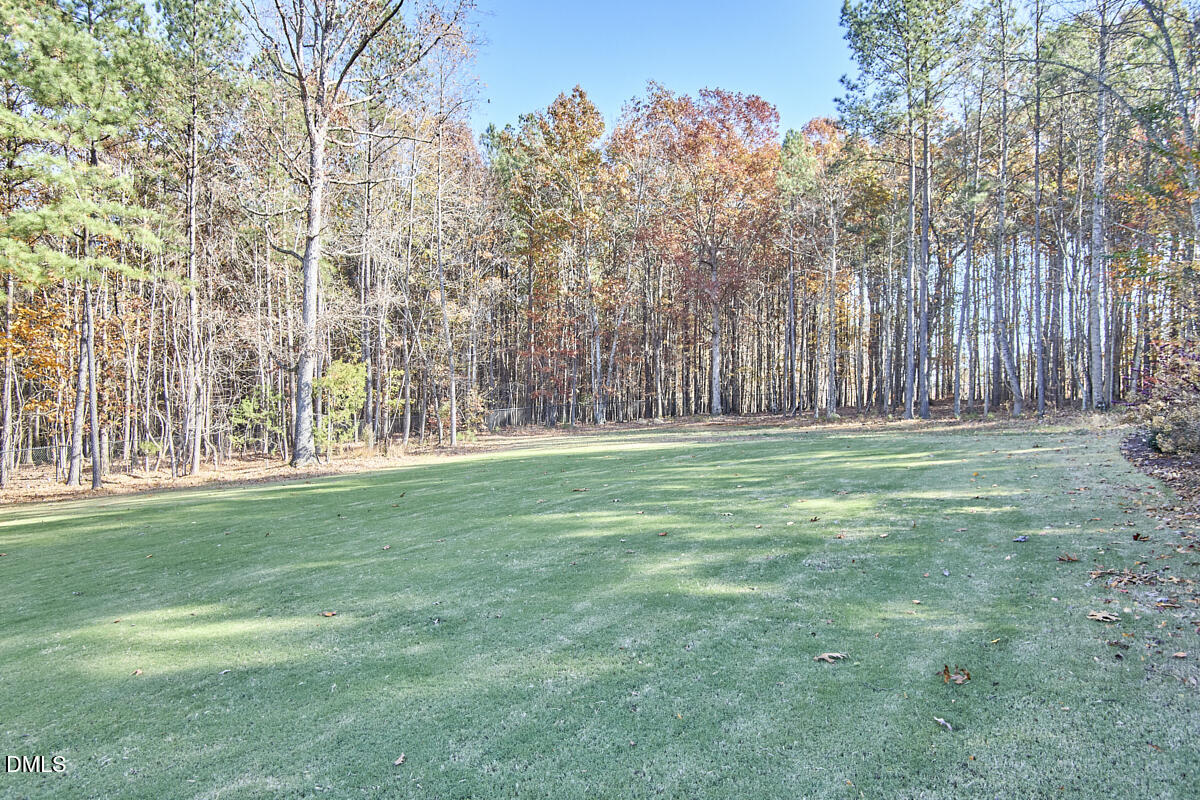8600 Rowan Oak Court Wake Forest, NC 27587 - Photo 38 of 42 a garden view
