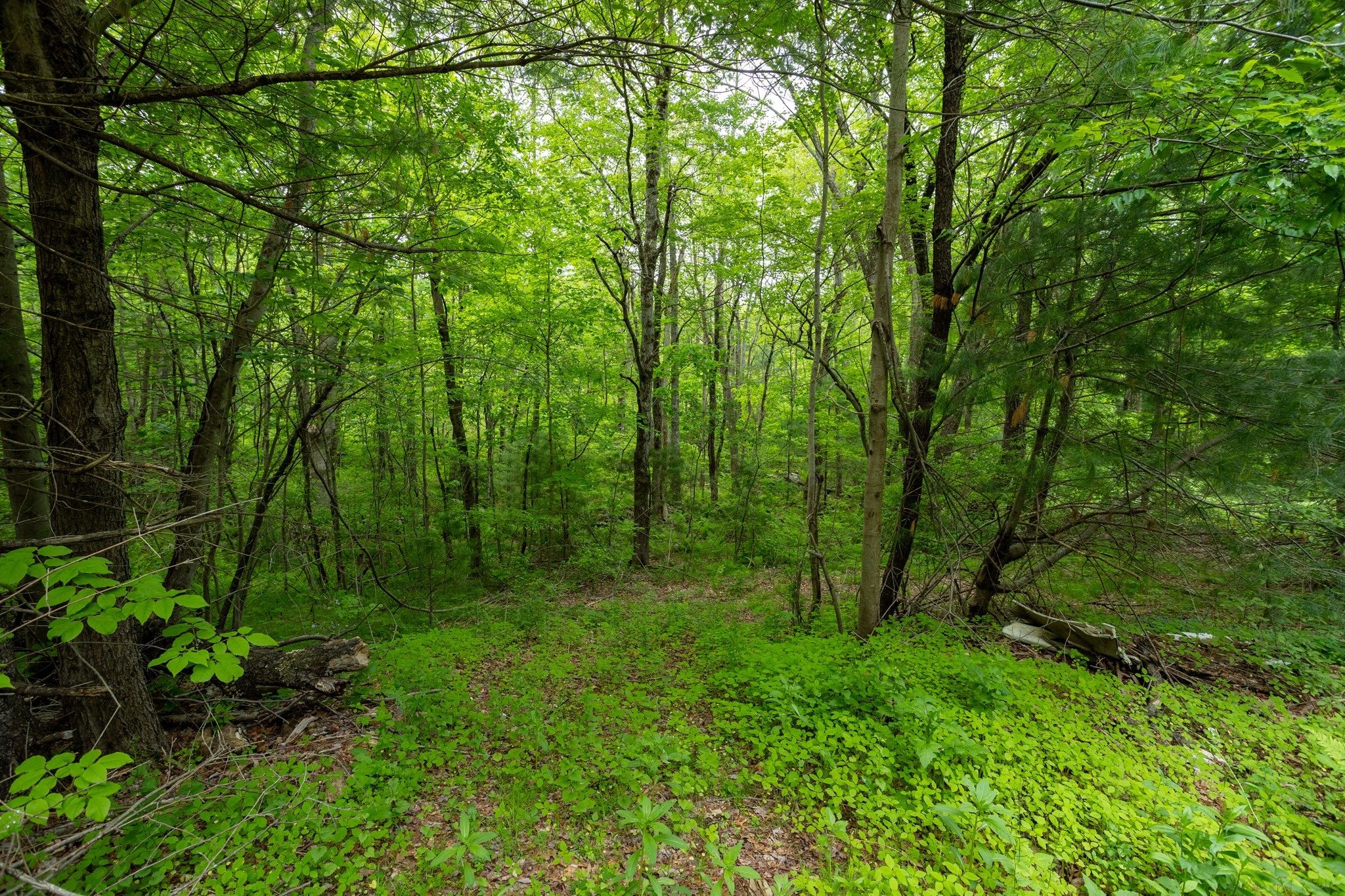 0 Bullard Road Oakham, MA 01068 - Photo 12 of 32 Gallery Image 12