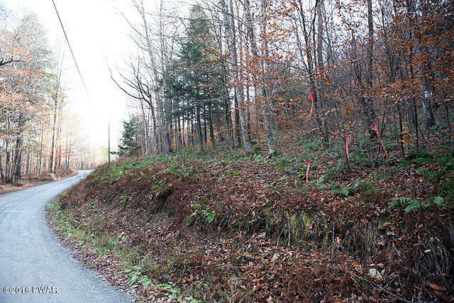 Tr # 60 Tr Road Long Eddy, NY 12760 - Photo 4 of 12