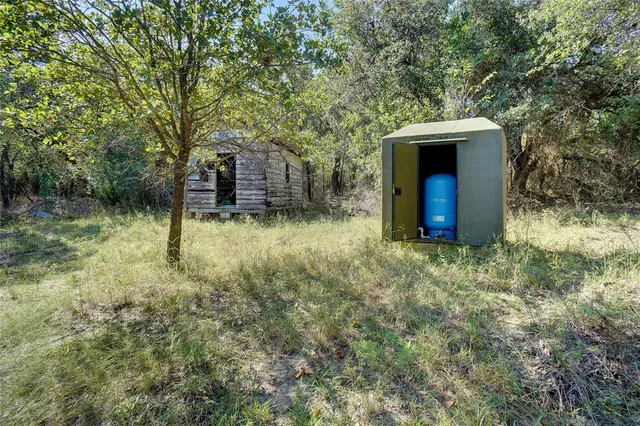 a view of a yard with a tree