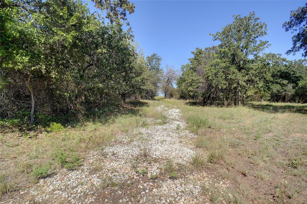 0 County Road 3672 Springtown, TX 76082 - Photo 13 of 24 a view of a yard with a tree