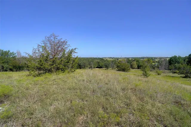 a view of field with trees in the background