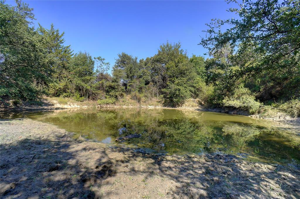 0 County Road 3672 Springtown, TX 76082 - Photo 9 of 24 a view of a lake with lots of trees