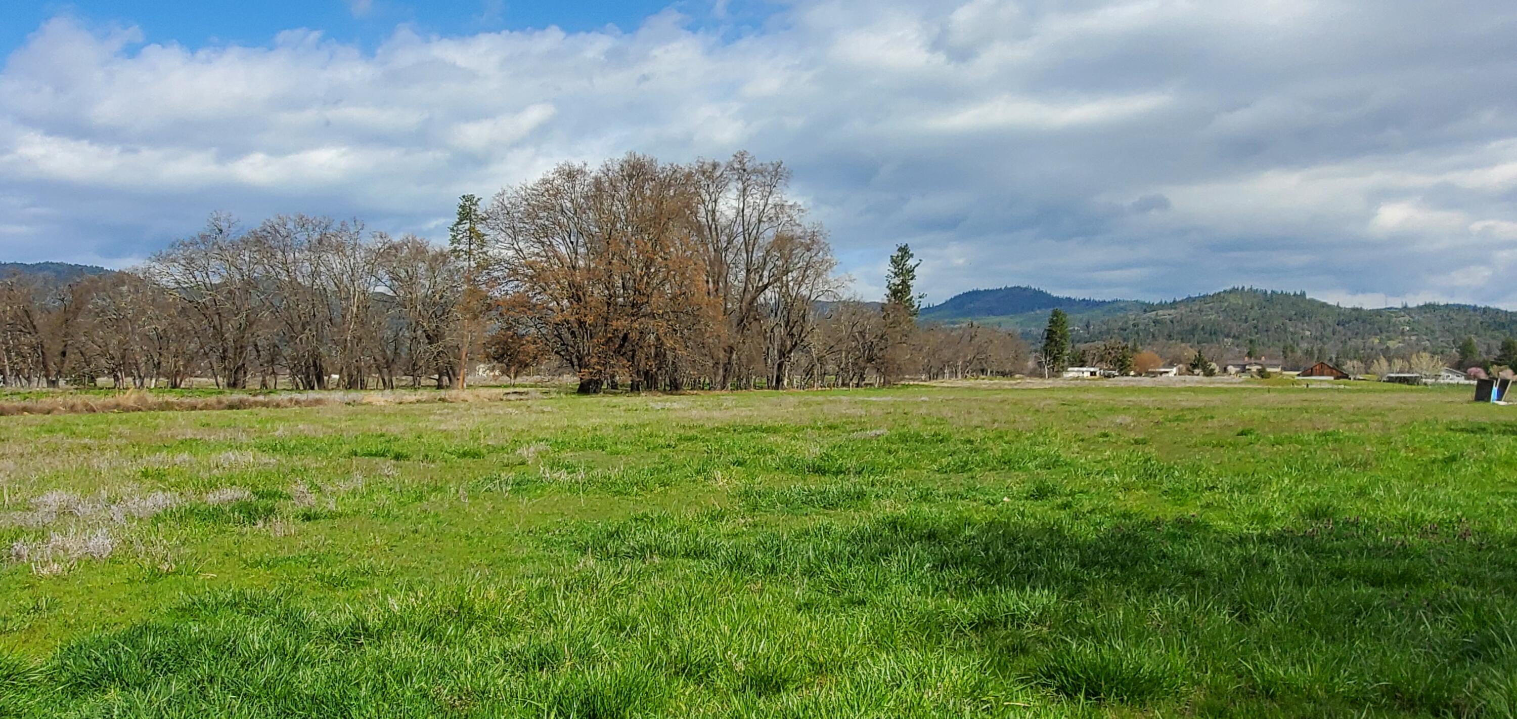 4221 Sams Valley Road Gold Hill, OR 97525 - Photo 26 of 31 20230417_105618