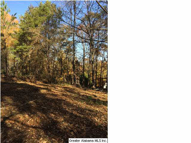 Sharon Drive, Unit 17 McCalla, AL 35111 - Photo 4 of 14