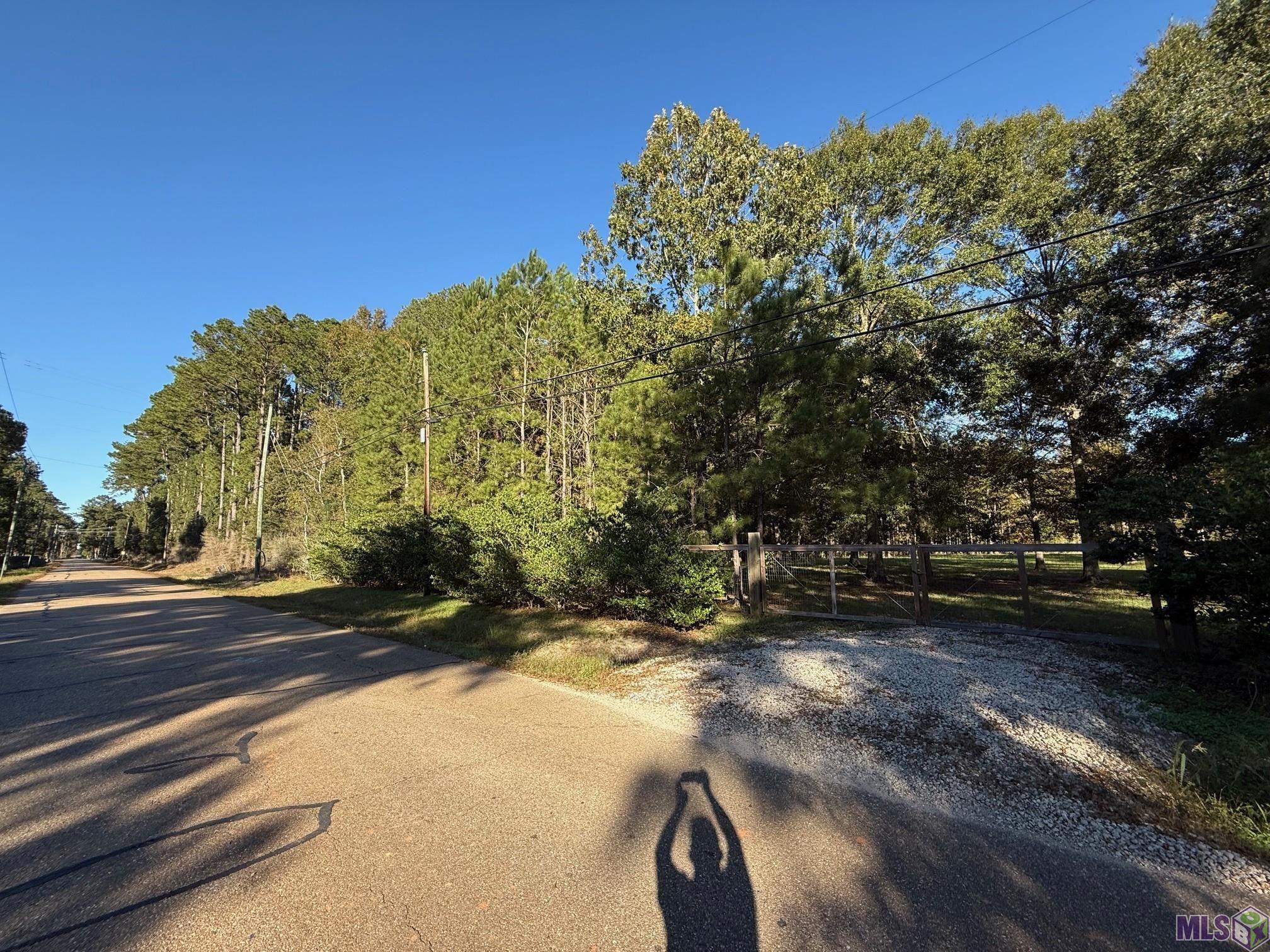 26430 Clyde Blount Road Livingston, LA 70754 - Photo 2 of 7