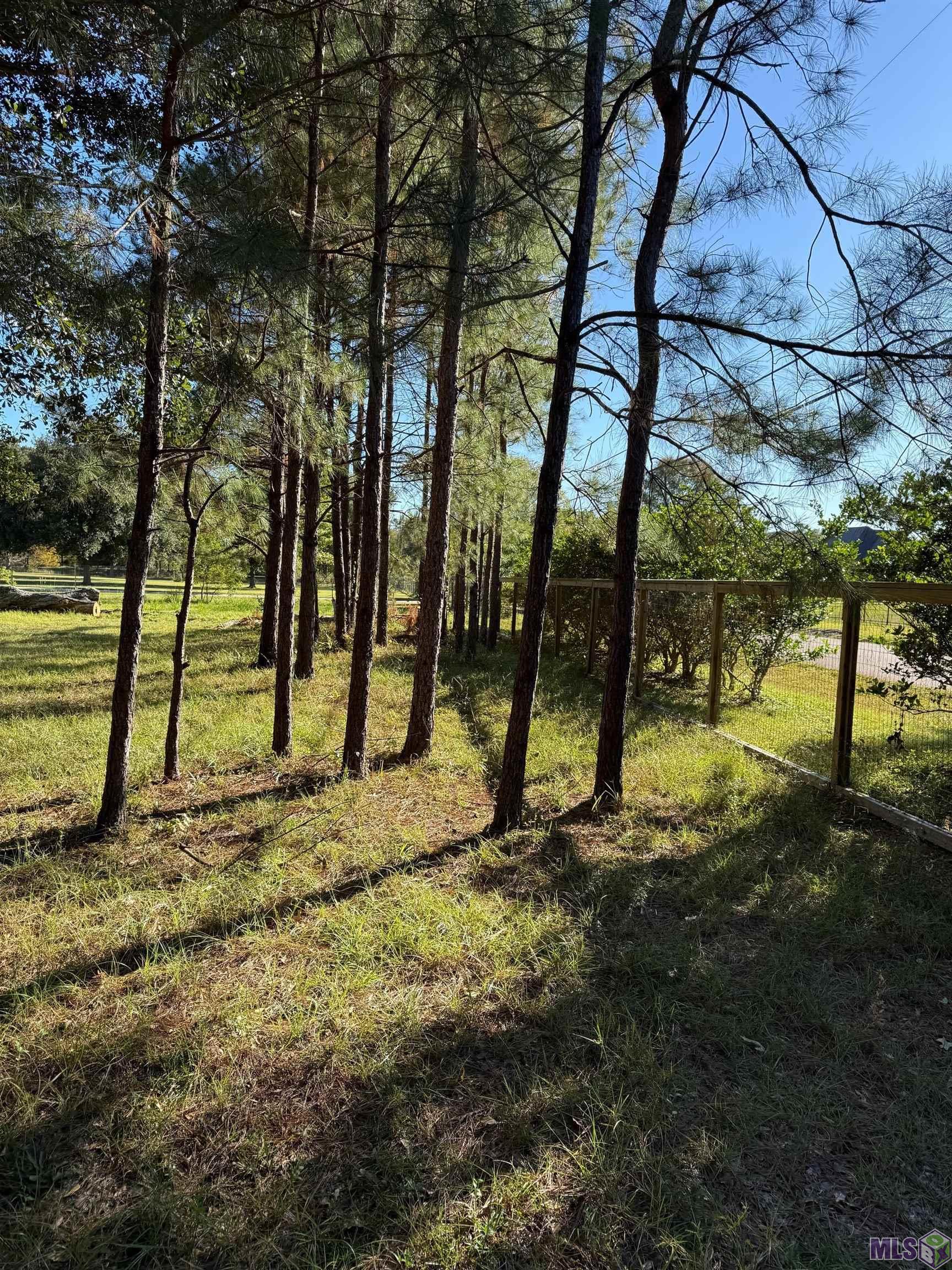 26430 Clyde Blount Road Livingston, LA 70754 - Photo 4 of 7