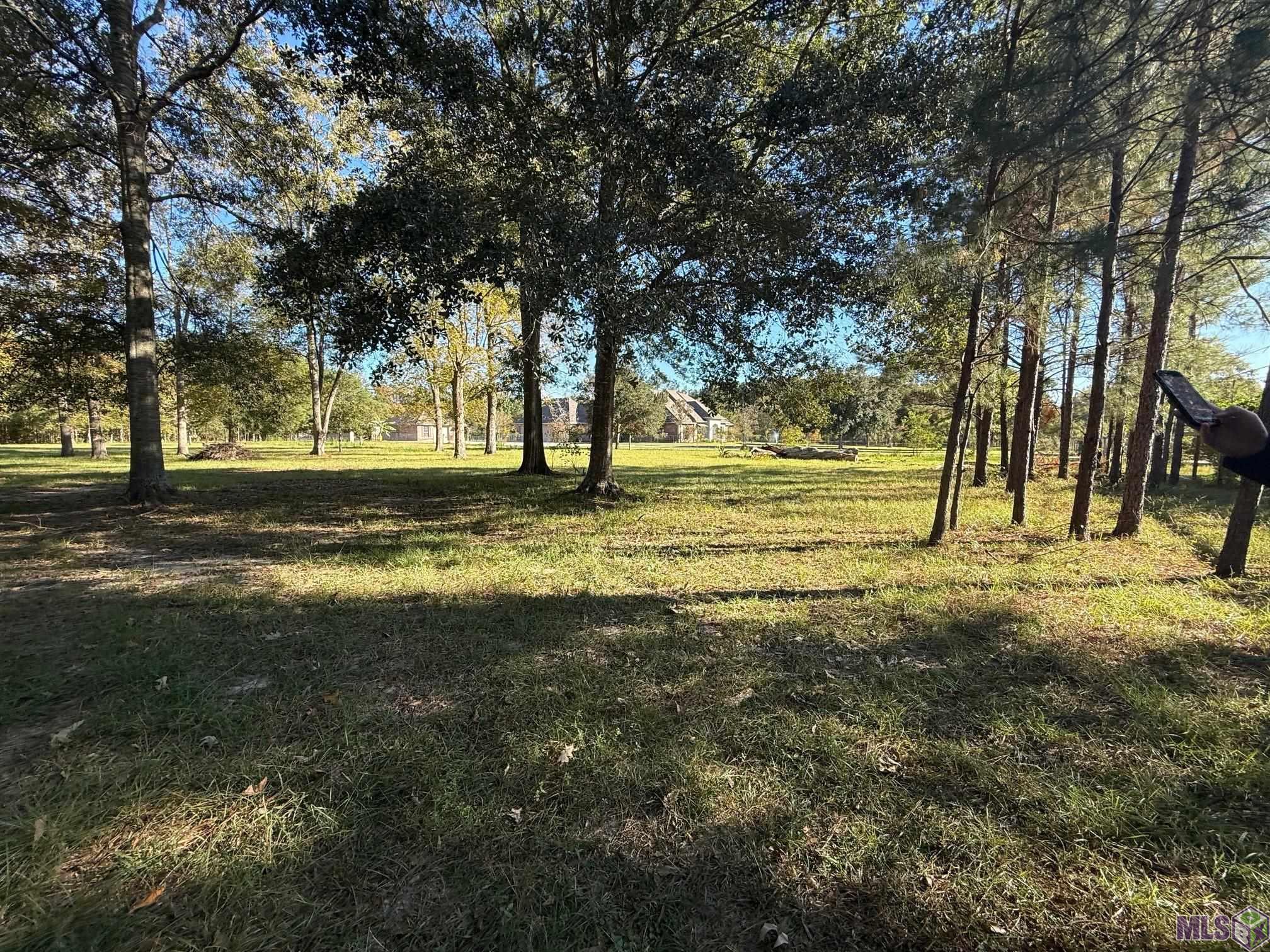 26430 Clyde Blount Road Livingston, LA 70754 - Photo 5 of 7