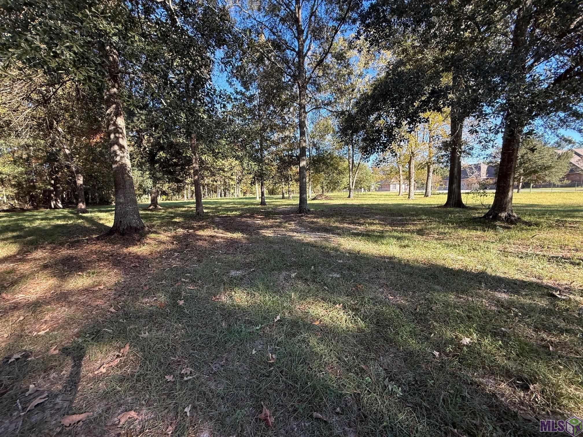 26430 Clyde Blount Road Livingston, LA 70754 - Photo 6 of 7