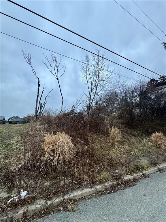 1235 Maple Avenue Monessen, PA 15062 - Photo 3 of 3 a view of a dry yard