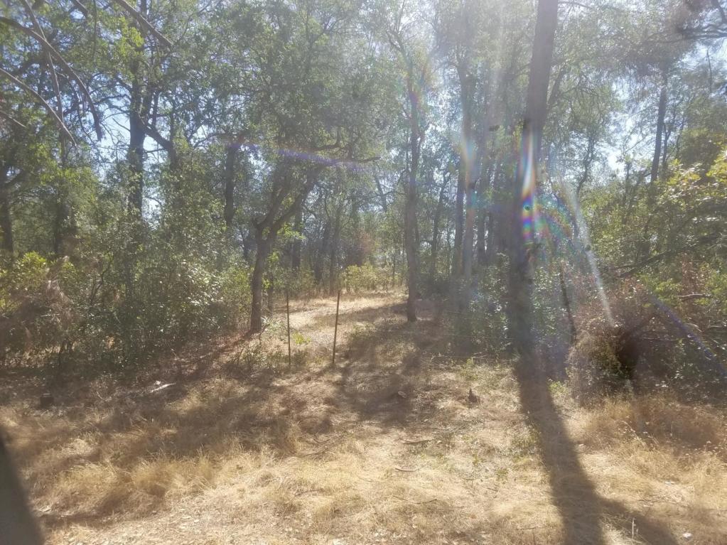 Lot 3 Silver King Road Redding, CA 96001 - Photo 1 of 1 20190913182113249453000000-o