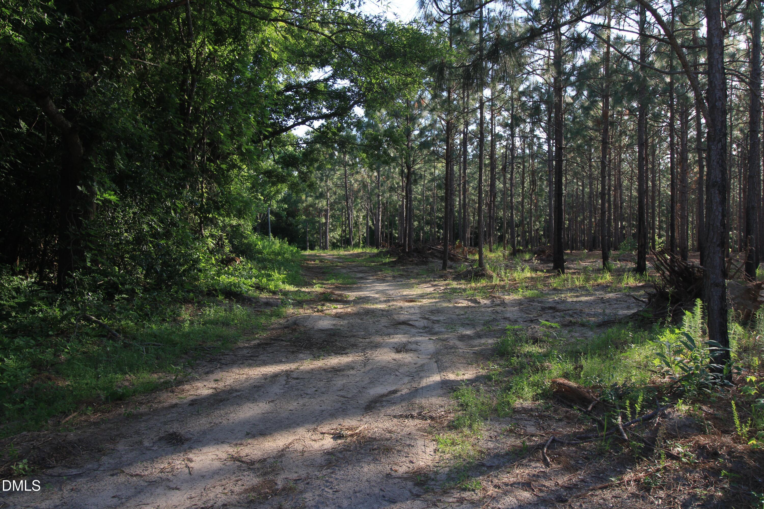 0 Johnson Pond Road Red Springs, NC 28377 - Photo 8 of 19 8