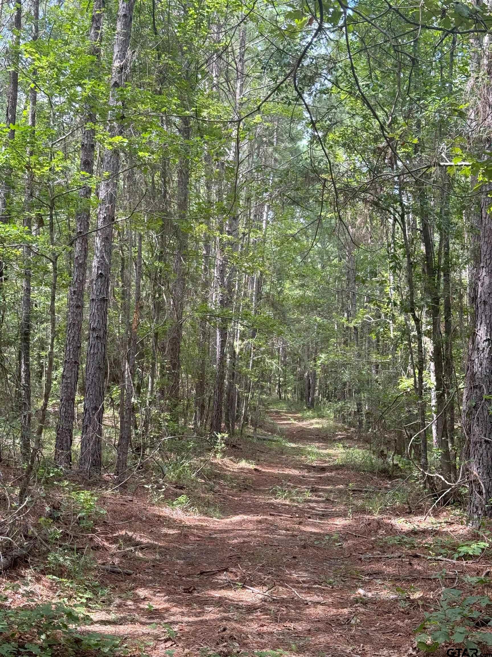 2 Cr 2217 Rusk Tx 75785 Rusk, TX 75785 - Photo 4 of 4