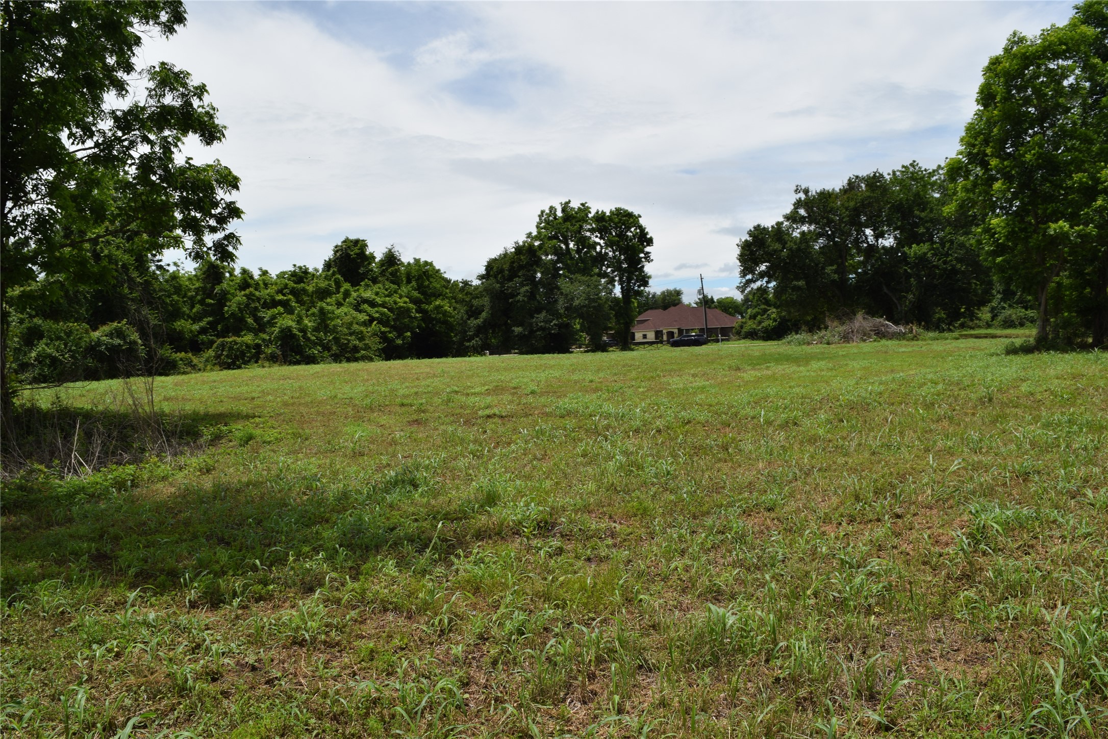 22819 Pittman Drive Angleton, TX 77515 - Photo 7 of 15 Wide open area between trees to build your dream home!
