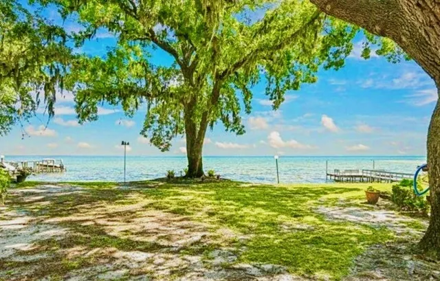 a view of a swimming pool with a yard
