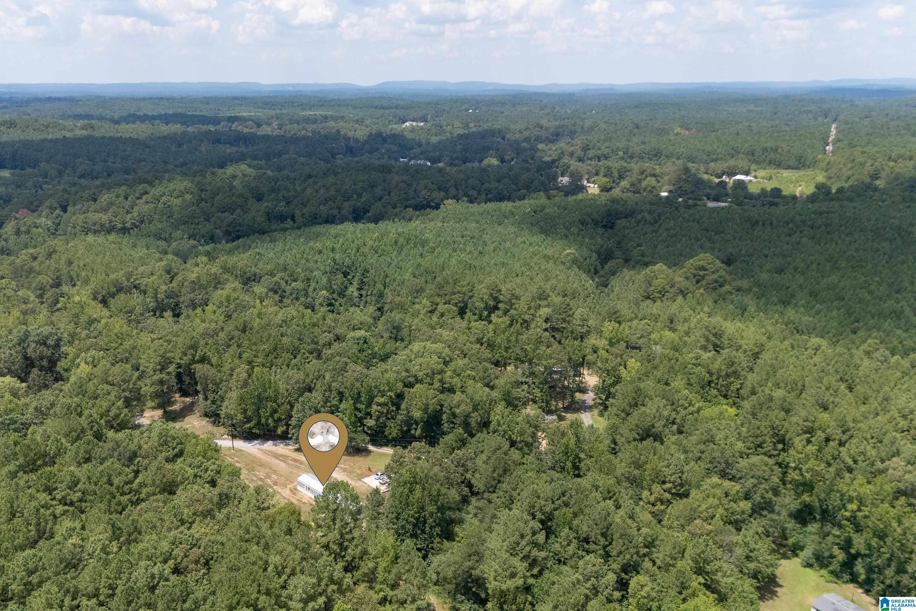 2224 Morris Majestic Road Morris, AL 35116 - Photo 31 of 36