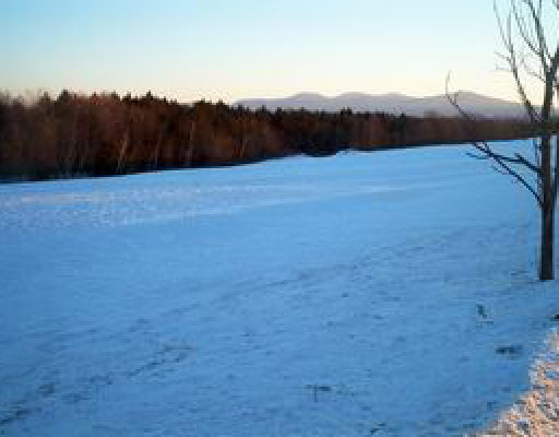 402 Rt Westerlo, NY 12193 - Photo 4 of 4 Photo 4