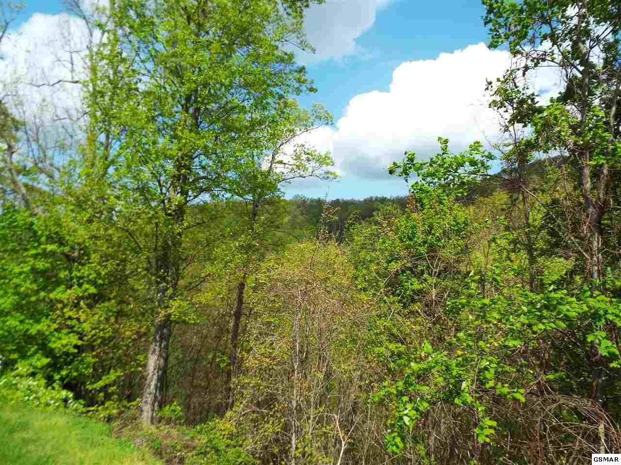 Lot 63 East Redtail Road, Unit 63E Sevierville, TN 37862 - Photo 4 of 9 1000005036_13