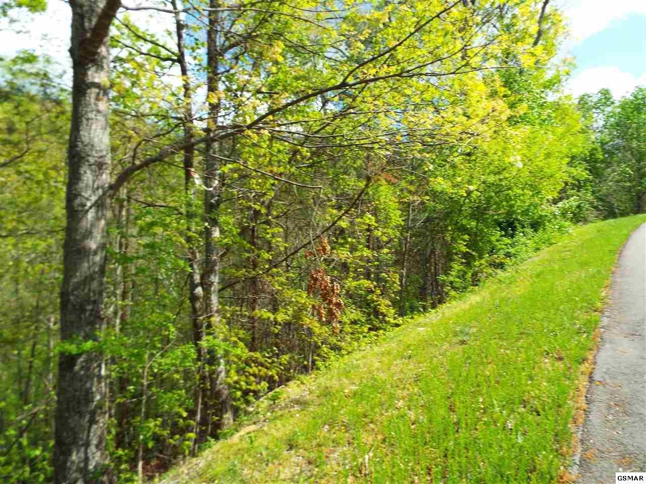Lot 63 East Redtail Road, Unit 63E Sevierville, TN 37862 - Photo 5 of 9 1000005036_18