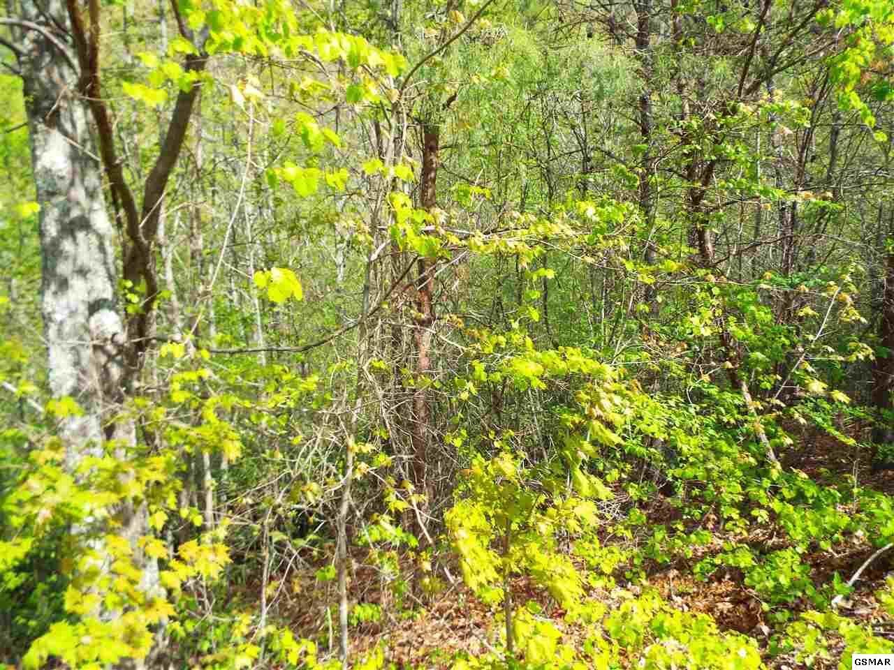 Lot 63 East Redtail Road, Unit 63E Sevierville, TN 37862 - Photo 6 of 9 1000005036_21