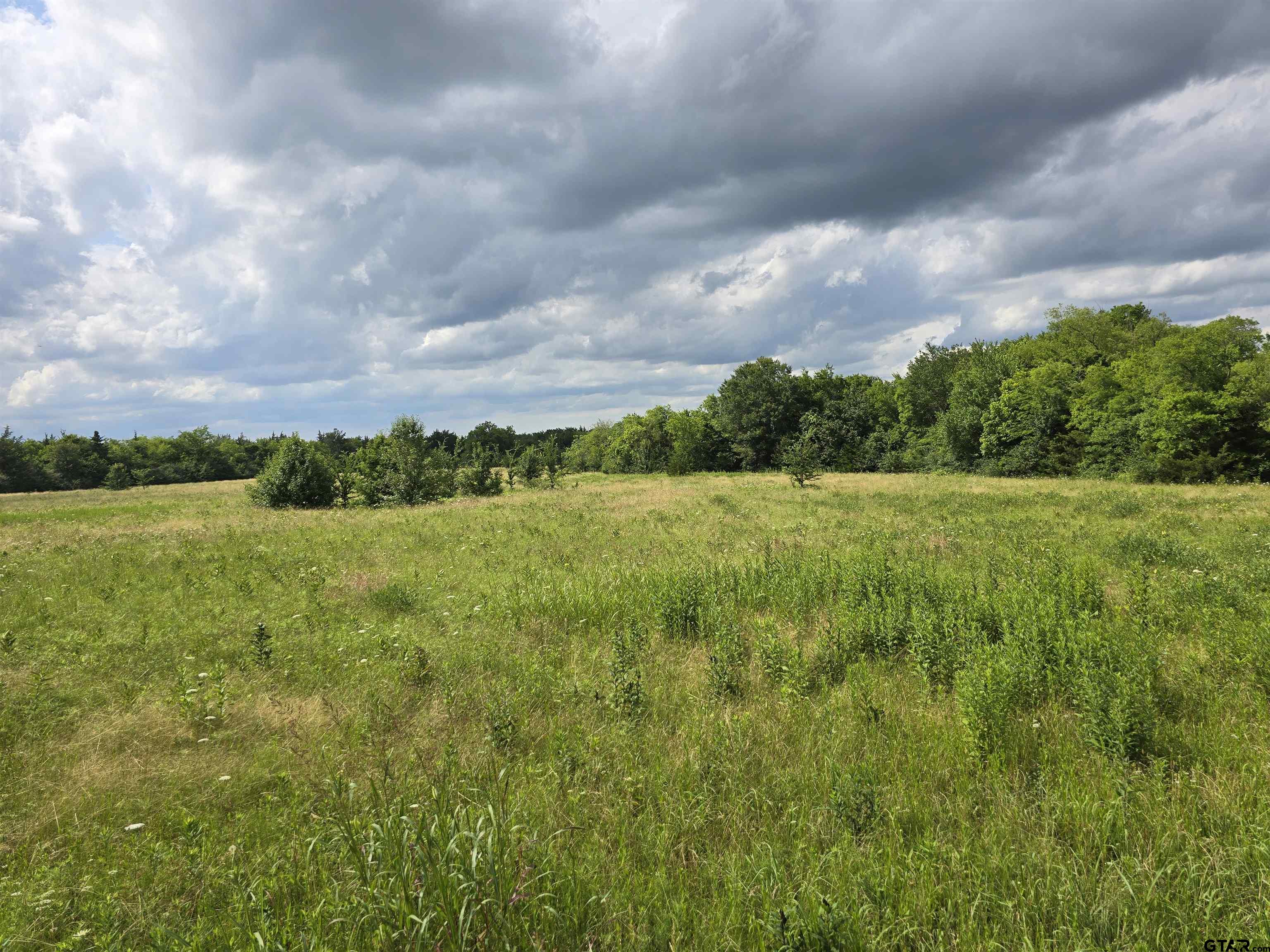 Lake Street Mount Vernon, TX 75457 - Photo 2 of 5 a view of a green field with wooden fence