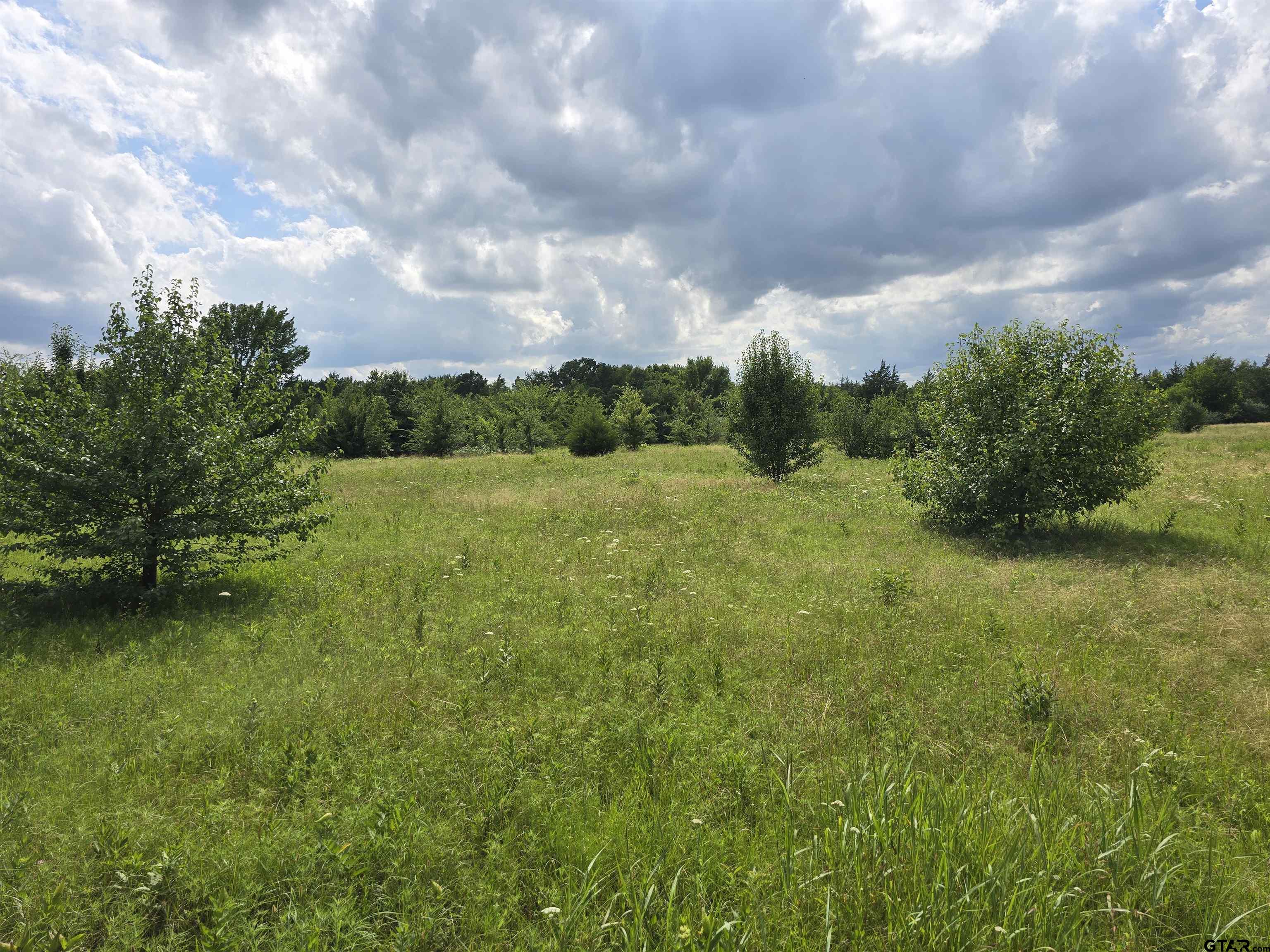 Lake Street Mount Vernon, TX 75457 - Photo 3 of 5 a view of a green field with wooden fence