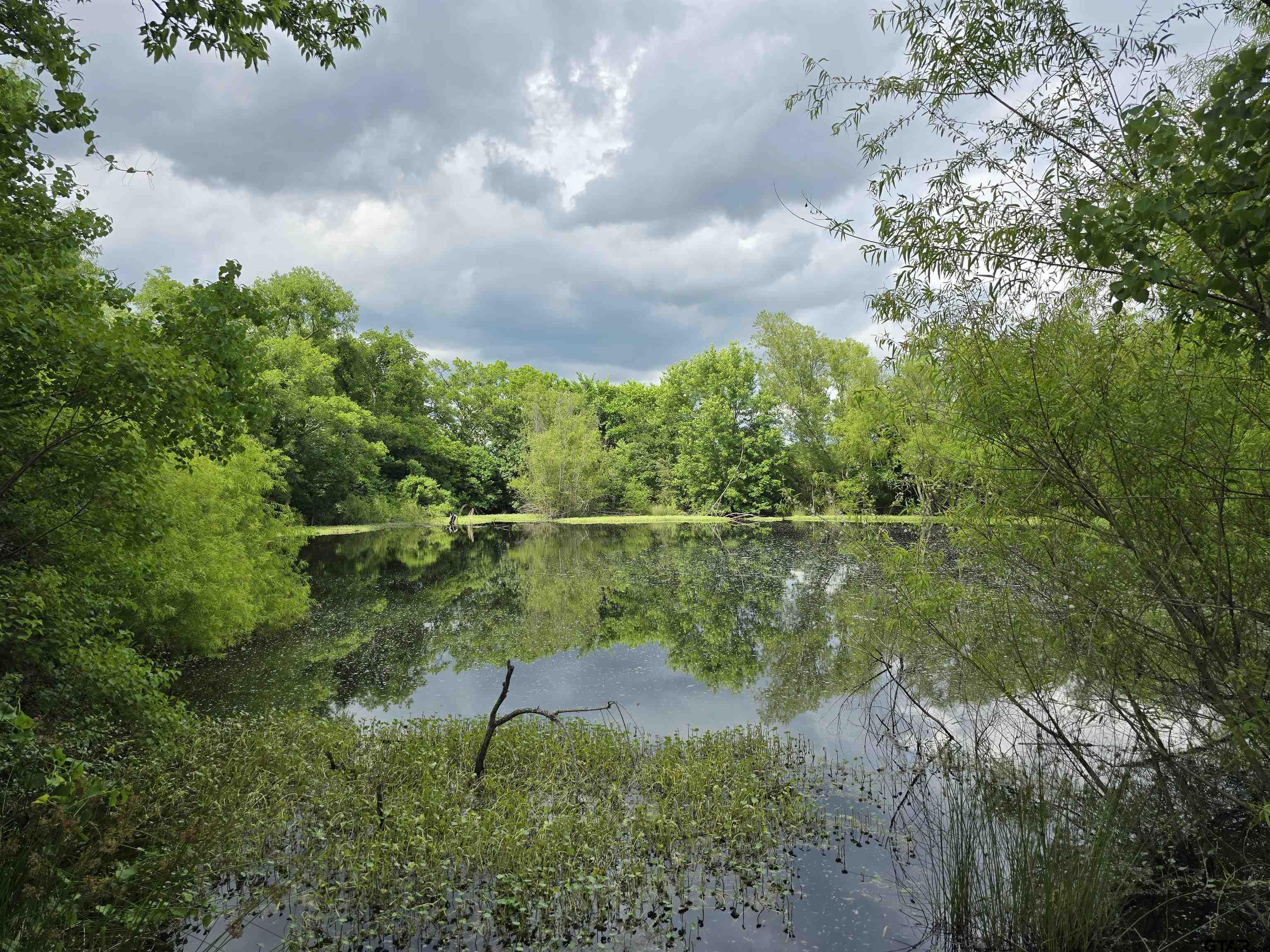 Lake Street Mount Vernon, TX 75457 - Photo 5 of 5 a view of a lake view