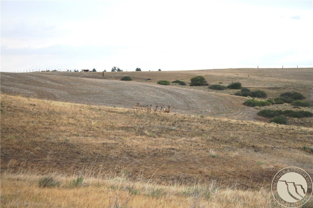 Lot 4 Joliet Road Columbus, MT 59019 - Photo 8 of 15 Gallery Image 8