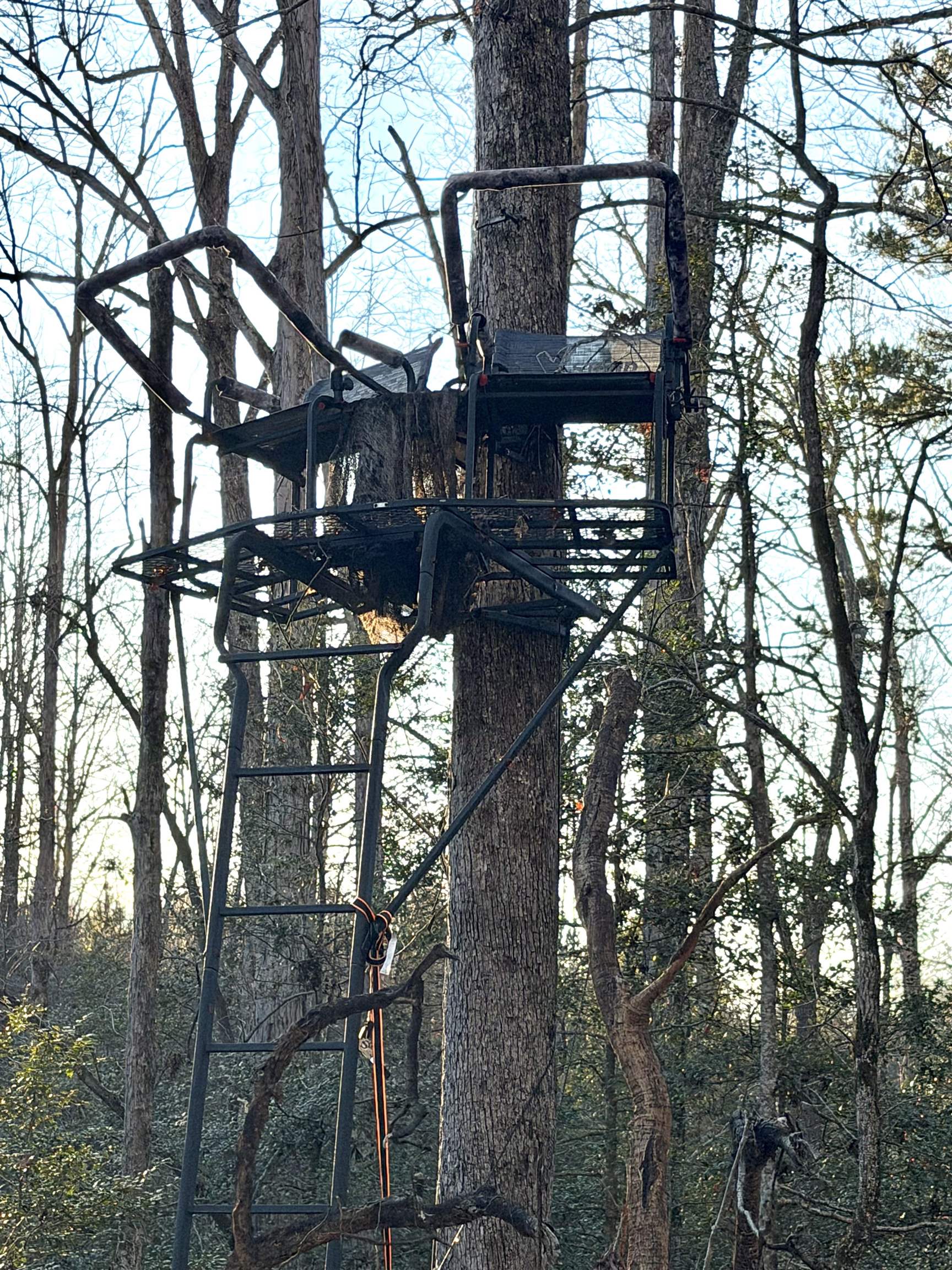 620 Hobbysville Road Roebuck, SC 29376 - Photo 49 of 49