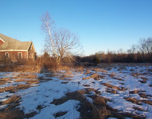 347 Warren Hill Road Palmyra, ME 04965 - Photo 6 of 7 Land/Lot.