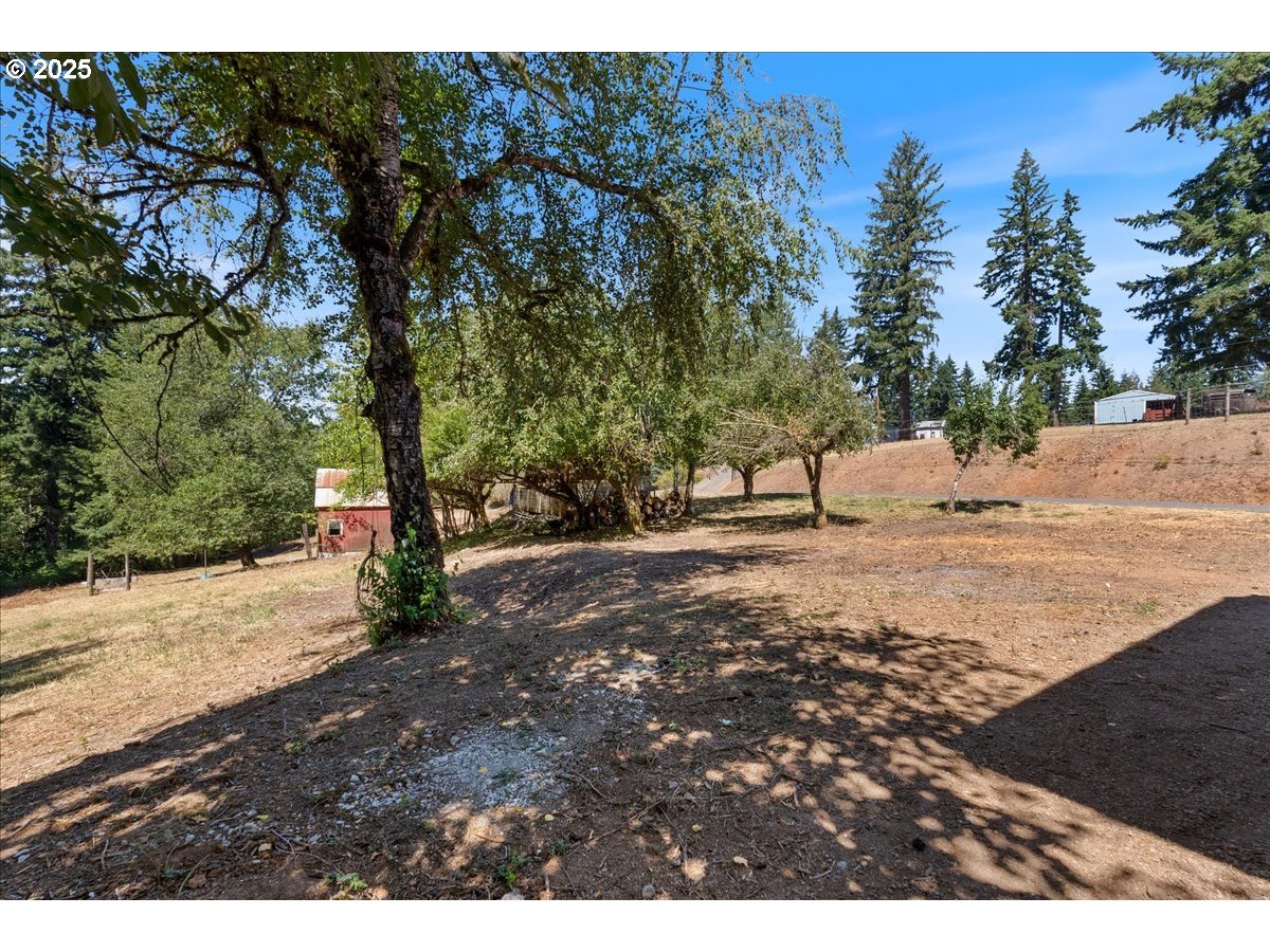 32900 Southeast Colorado Road Sandy, OR 97055 - Photo 33 of 38 a view of outdoor space with trees