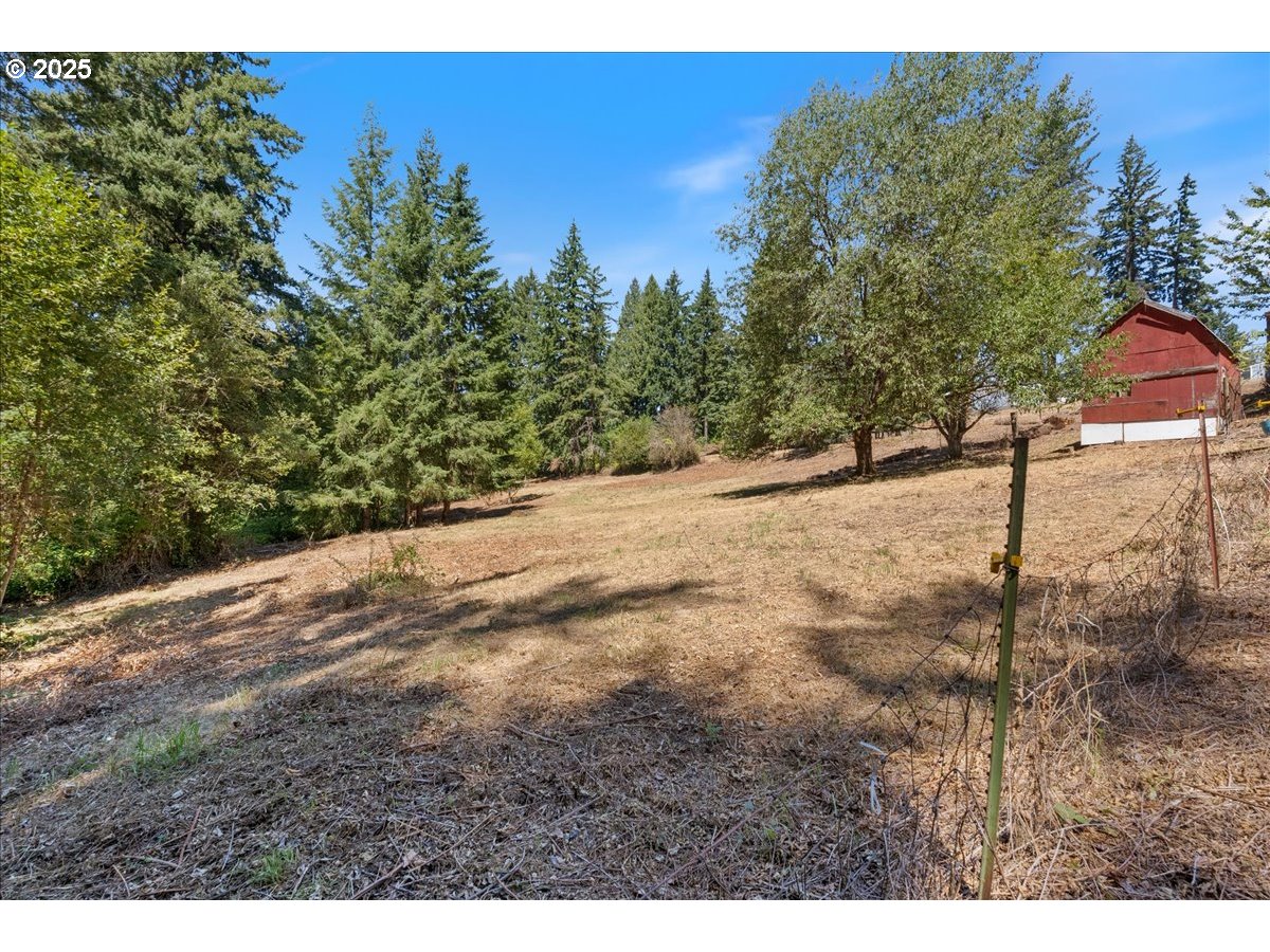32900 Southeast Colorado Road Sandy, OR 97055 - Photo 36 of 38 a view of a yard with a tree