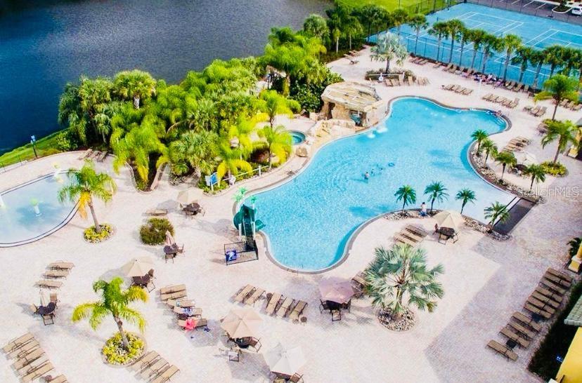 8979 California Palm Road Kissimmee, FL 34747 - Photo 25 of 33 a vase of flowers sitting on a table