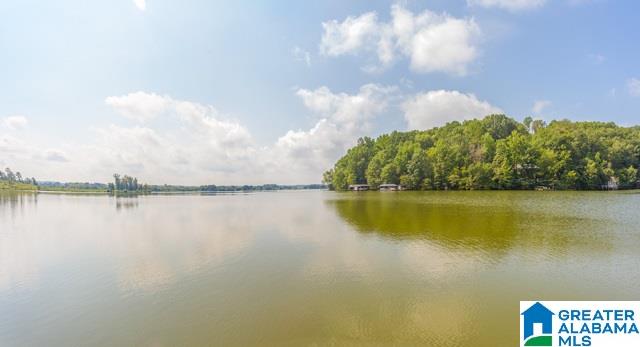 245 Willow Road Lincoln, AL 35096 - Photo 49 of 50